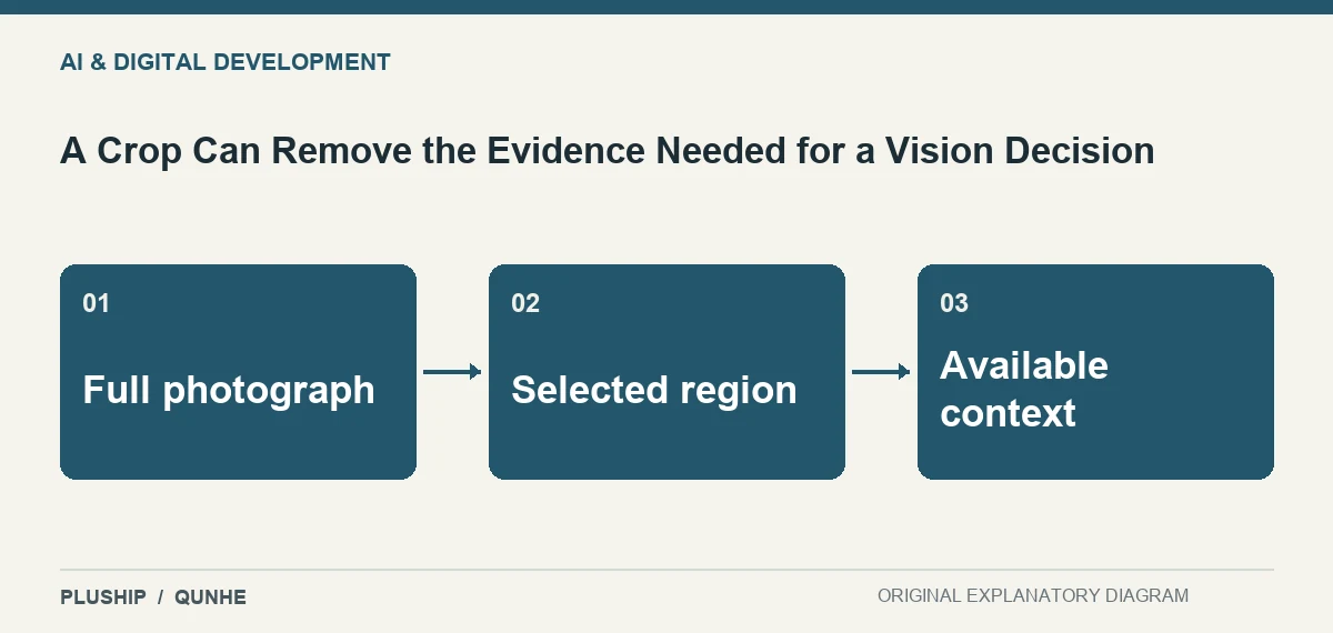 Topic map for A Crop Can Remove the Evidence Needed for a Vision Decision: Full photograph; Selected region; Available context.